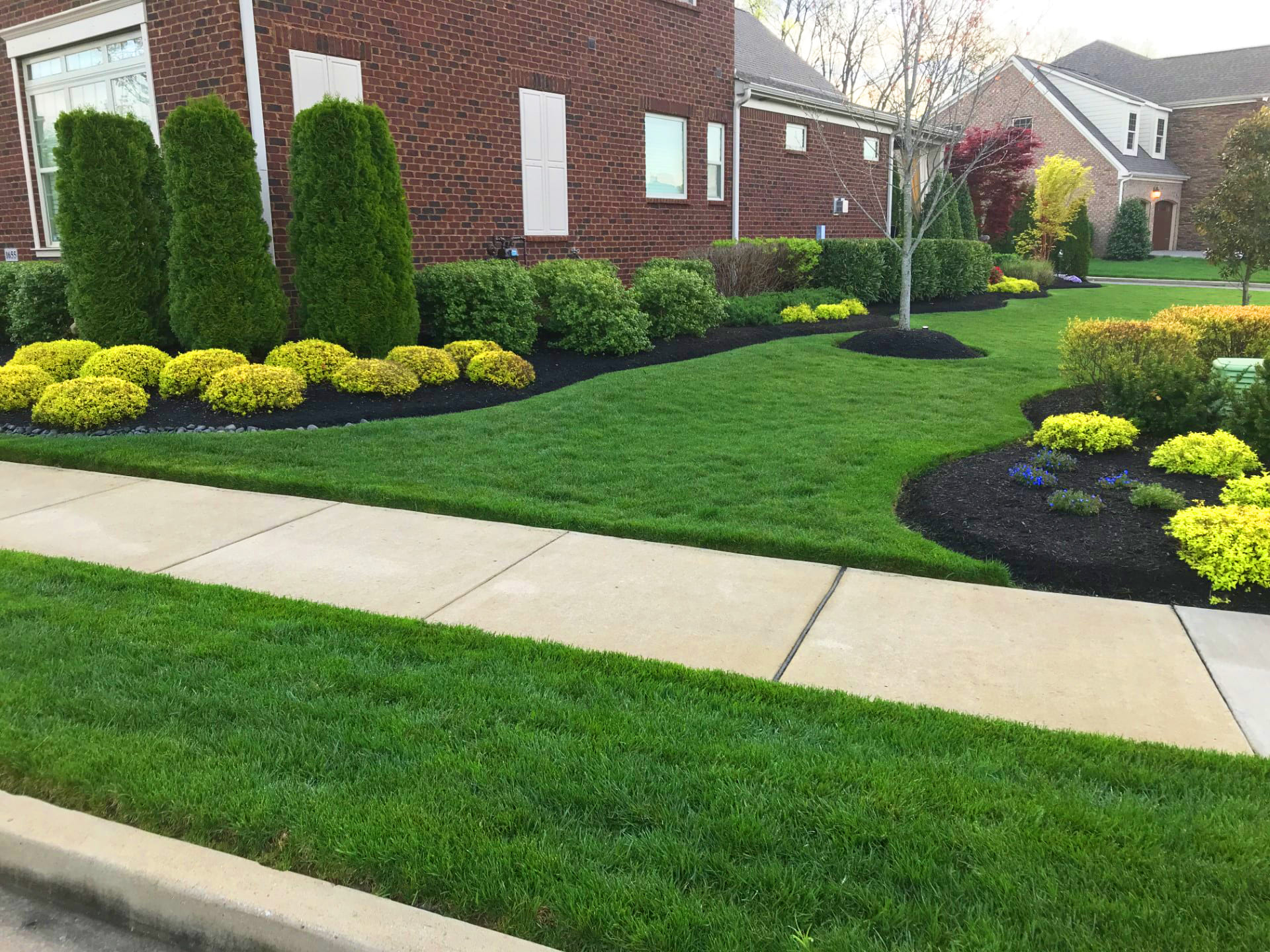 The Lawn Ranger